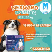 Nexgard Spectra de 15.1 a 30 kg - Img 50887108