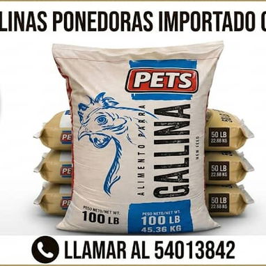Pienso pienso pienso - Img 124728531