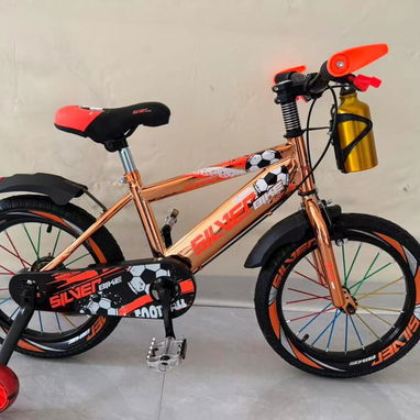 Bicicleta número 12 - 2/6