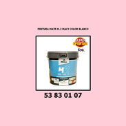 ✅ ✅ ✅ PINTURA MATE M-2 MACY COLOR BLANCO✅ ✅ ✅ . - Img 54965296