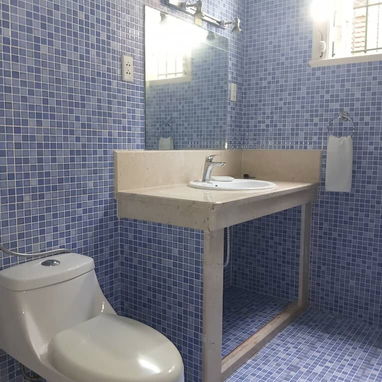 Renta de maravillosa propiedad independiente en Vedado - 10/10