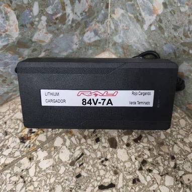 Cargadores para moto electrica y triciclo - 10/10