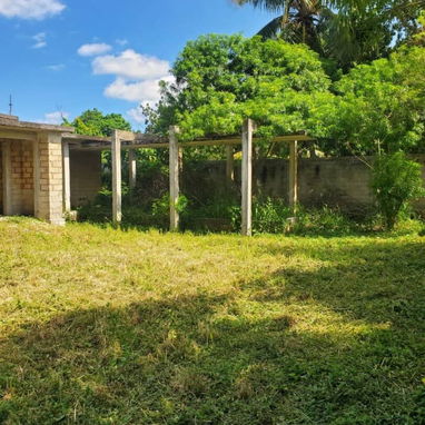 Venta de finca en la lisa me ajusto bastante - Img 107100510