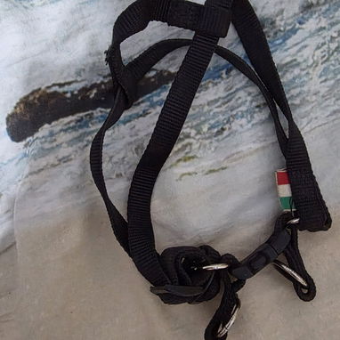Arneses y collares para perros - Img 121201214