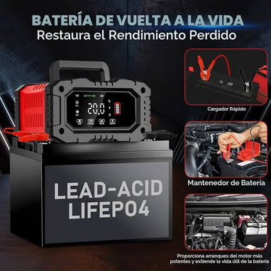 Cargador de batería Carga, repare y mantenga baterías de plomo ácido de 12 y 24v.  100 USD - 6/7