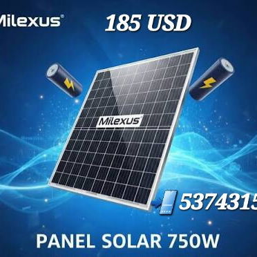 Paneles solares bifaciales - Img 120900975