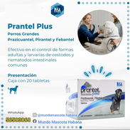 PRANTEL PLUS antiparasitario interno para perros 40kg y más - Img 52572708