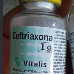 Doxorrubicina cisplatino gencitavina ciclosfamida carboplatino fluoracilo metroxate etiposido cimaher - 2/3