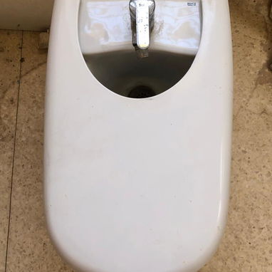 Se vende lavabo de pedestal y bidet marca Roca, con sifa y llave - Img 125021475