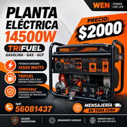 Planta WEN 14500 - Img 57361441