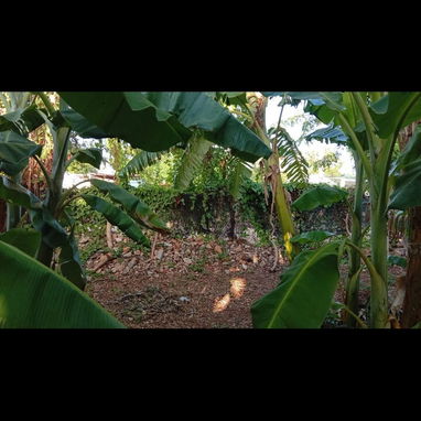 Venta de terreno en guanabo - 4/5