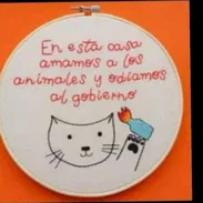 Busco trabajo - Img 56236346