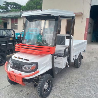 Carros eléctricos, batería 74x60 de litio, capacidad de 8 pasajeros, 6300 USD - 2/4