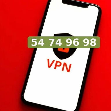 Servicio de VPN 2 Anos - 2/2