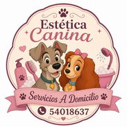 Estilista canino a domicilio - Img 56247615