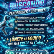 GESTORES DE VENTA - Img 55449955