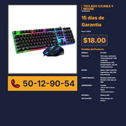 TECLADO CON CABLE Y MOUSE VPT# -0249 - Img 56244294