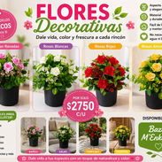 Flores decorativas - Img 56828943