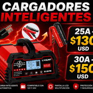 Cargadores Inteligentes para todo tipo de batería ( 25A y 30A ) - Img 55919427