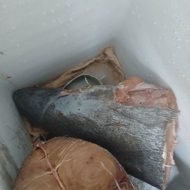 Pescado Castero - 2/3