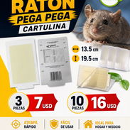 Trampas de ratones 🐭 PEGA PEGA. La habana - Img 56932774