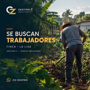Buscamos trabajadores en finca en Valle grande - Img 57642427