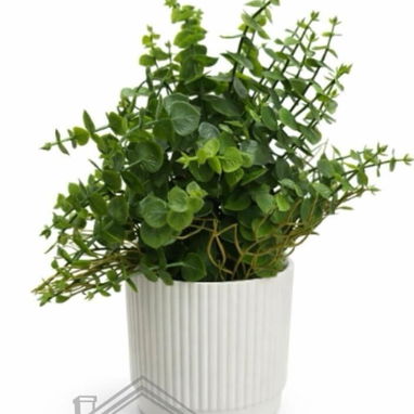 *Plantas decorativas modernas🪴* (La Lisa) - Img 123053962