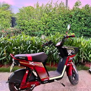 BICIMOTO Topmaq Evolution - Img 55771553