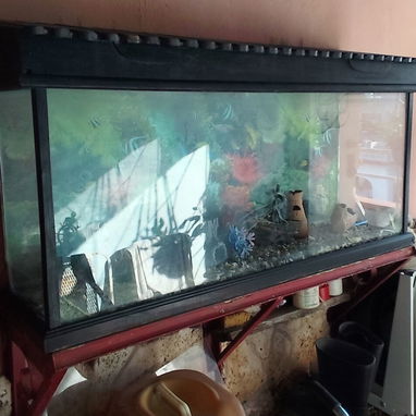 Vendo pescera de 1.20 metros - Img 120667459