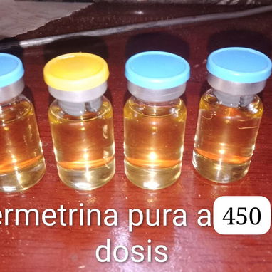 💥Venenos altamente efectivos - 2/4