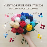 Tulipanes en ramos o individuales - Img 56354913