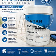 Pintura aclírico interior I 20 - Img 56955522