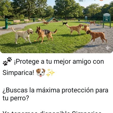 medicamento para perros 🐕 - Img 121879451