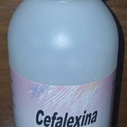 Cefalexina en suspensión - Img 55660489