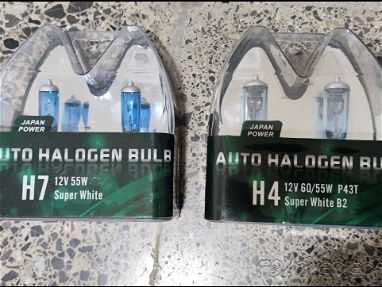 Bombillos Halogenos H4 y H7 - Img main-image