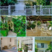 ✨️CONFORT RENTALS ✨️ ‼️El arte de hospedarte bien ‼️ - Img 55261495