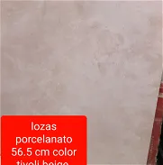 Lozas porcelanato 56.5 cm - Img 45904059