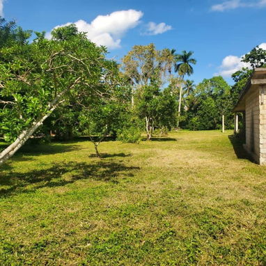 Venta de finca en la lisa me ajusto bastante - Img 107100517