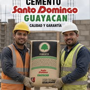 Cemento Guayacan Importado - Img 56549403