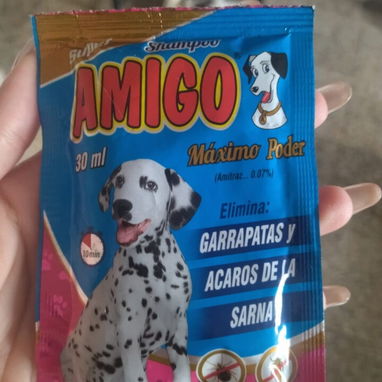 Champús para tu perro 🐕 ! - Img 125914184
