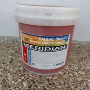 Impermiabilizante marca Meridian - Img 55620321