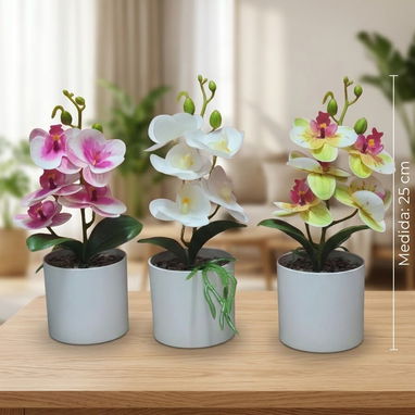Orquídeas con sus maceteros para decorar el hogar (gu) - 3/3