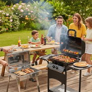 Asador de Gas - Img 57753302