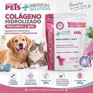 Colágeno para la salud articular de tu mascota - Img 58219514