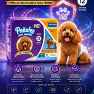 Pañales desechables para perros y gatos - Img 56351054