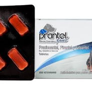 PRANTEL PLUS PERROS GRANDES - Img 52892800