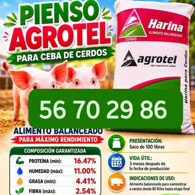 Vendo piensos para puercos y gallinas ponedoras - Img 124638451