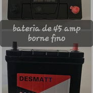 Bateria de 12 vol 45 amperes borne finos - Img 53728903