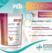 El colágeno para perros - Img 50351734