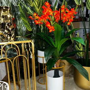 Plantas artificiales con macetas - Img 55033092
